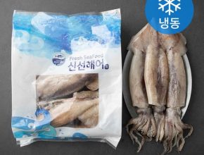 가성비최고 손질 대사이즈 통 오징어 130g20마리 베스트상품