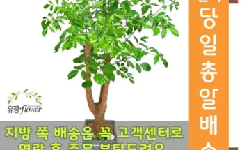 재미있는 배칠수꽃배달 후기